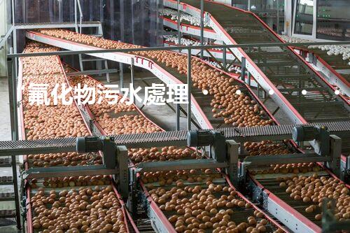 “氟化物污水處理，綠色環(huán)保新篇章”